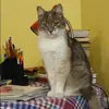 Отзыв от Ида Воронцова